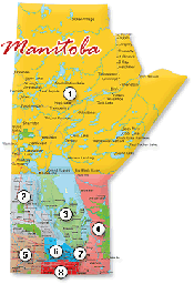 The Poker Grapevine – Canadian Govt. Buys into Online Poker